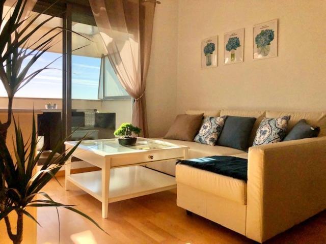 Apartmán Gatu Premium Atico Parra, Parking, Piscina Comun, Terraza, Wifi Solo Familias O Grupos De Mayores De 25 Anos El Puerto de Santa María Exteriér fotografie